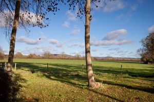 View- click for photo gallery